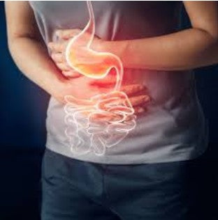 Food Intolerance Test